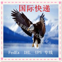 深圳一級大陸DHL美國加拿大國際快遞大陸fedex貸公司國際物流專線