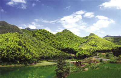Duang 植樹節來啦！看如何讓植樹少些形式多些效果