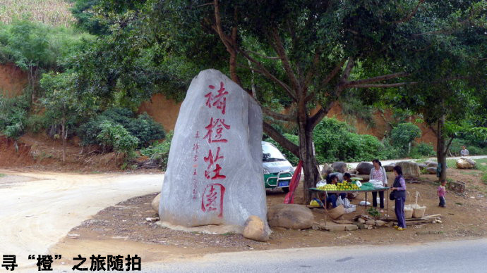 尋橙之旅隨拍