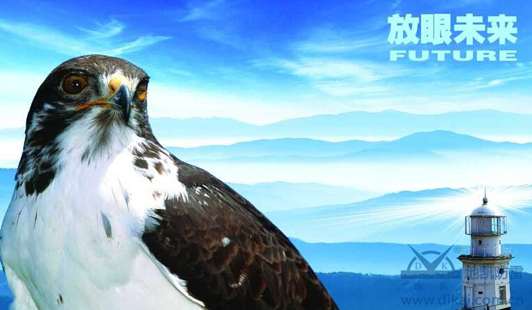 地凱防雷：放寬視野，鑒往知來