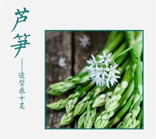 吃不完，養起來，剩菜也能變盆栽！