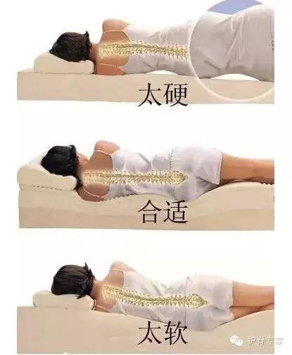 美安娜(美國):床墊有軟硬,護脊是核心
