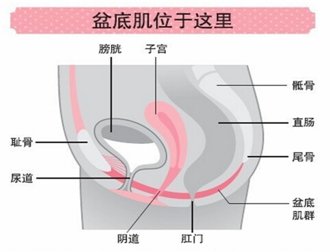 SKEA——Get一個“游戲”新體位