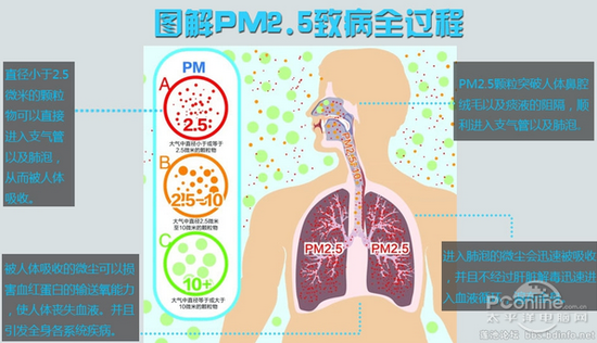 穹頂之下的醒悟！我們更渴望吸入健康空氣
