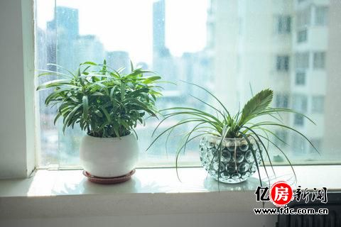 索菲莉爾智能床來(lái)襲,年輕的你也需要一張
