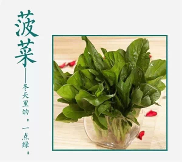 吃不完，養起來，剩菜也能變盆栽！