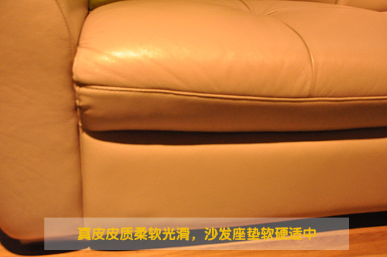 真皮皮質(zhì)柔軟光滑