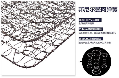 邦尼爾彈簧