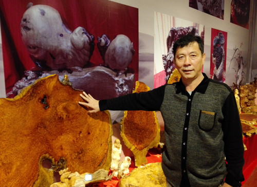 孟連祥和木業有限公司總經理王錫強正在給來賓介紹紅木癭子木 孟連祥和木業有限公司總經理王錫強正在給來賓介紹紅木癭子木