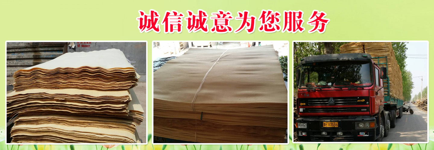 直銷楊木旋切皮楊木皮單板夾心批發家裝木板材 家具木材