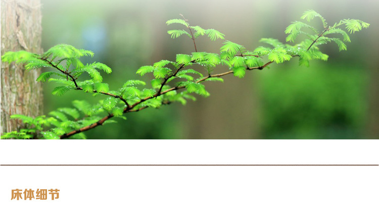 廠(chǎng)家直銷(xiāo)實(shí)木床 簡(jiǎn)約1.8米橡木家具 特價(jià)臥室雙人床