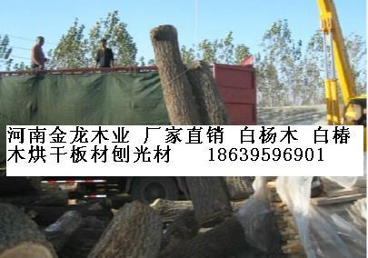 板材行業價格 家具木材價格 品質保證 放心購買