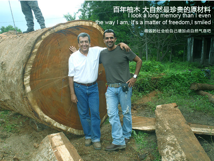 供應柚木原木 不易變形家裝木板材 進口實木甲板木材 家具用料