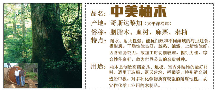 供應柚木原木 不易變形家裝木板材 進口實木甲板木材 家具用料